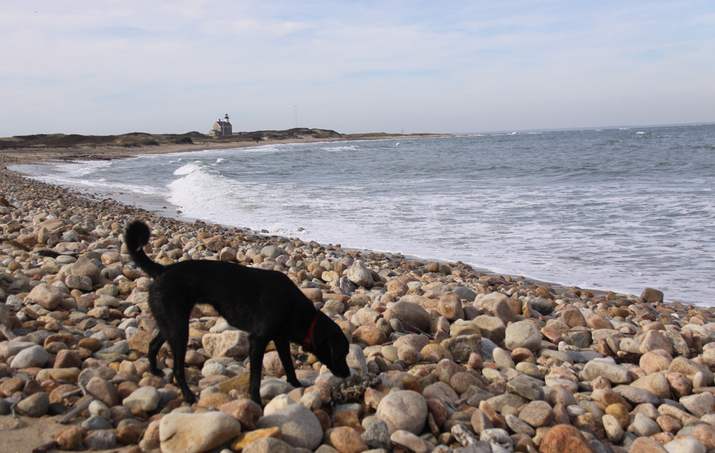 Block Island offers 17 miles of breathtaking beaches